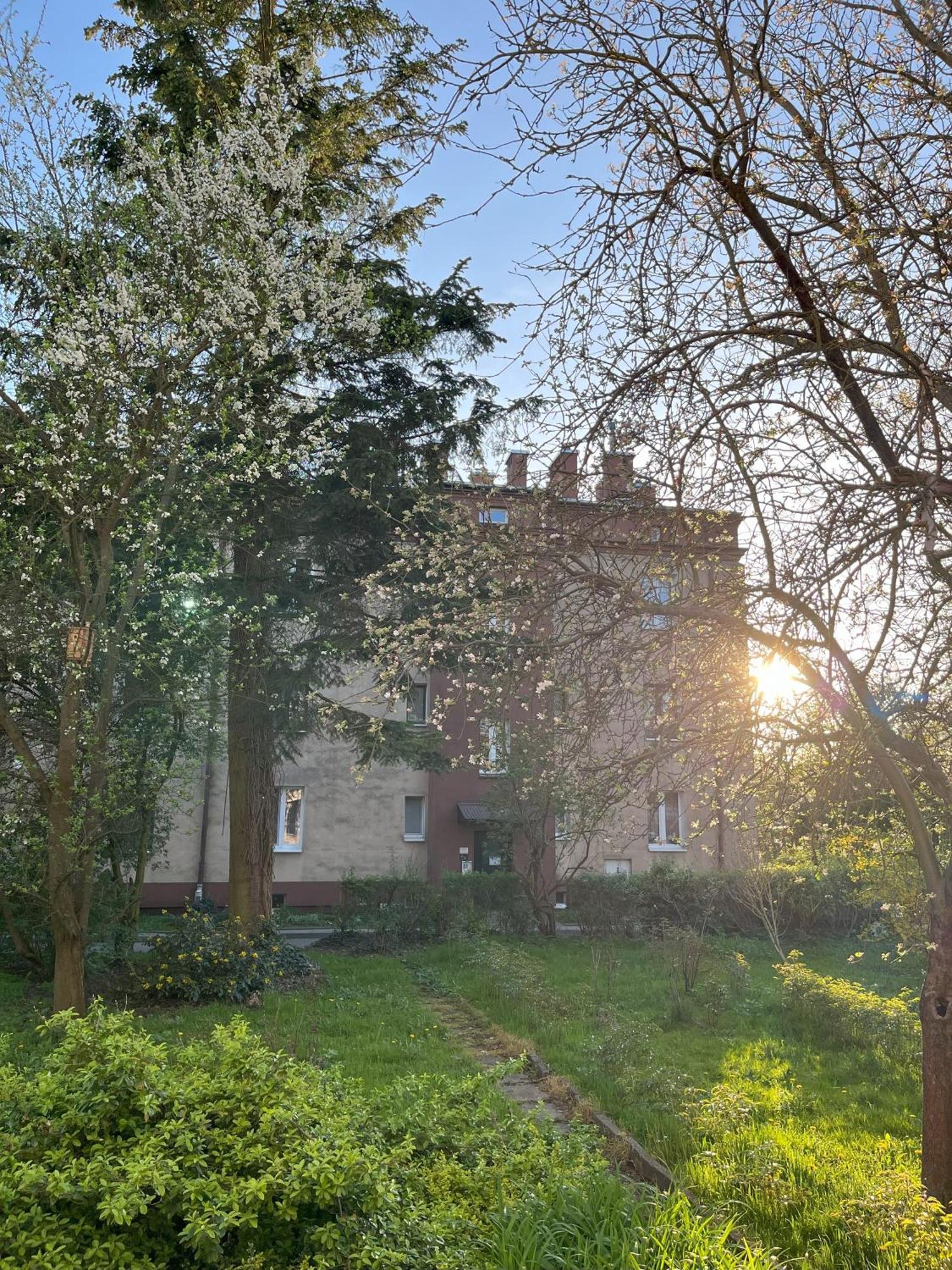 Greenthumb Praska Cracovia Exterior foto